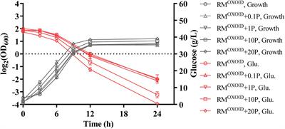 The Magnesium Concentration in Yeast Extracts Is a Major Determinant Affecting Ethanol Fermentation Performance of Zymomonas mobilis